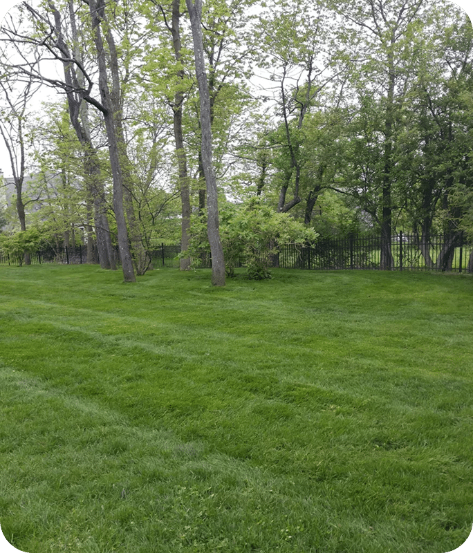 Clean Finished Yards