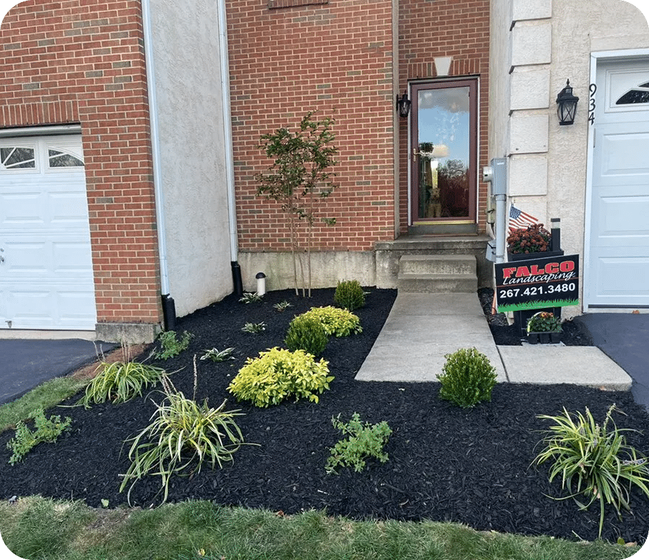 Complete Renovation