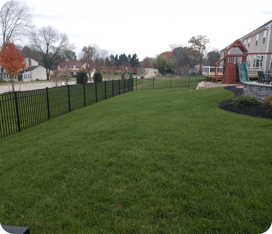 Fresh Sod Established