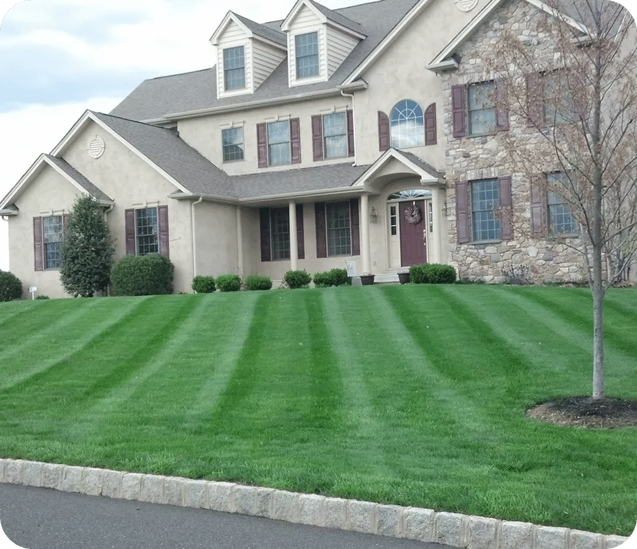 Lawn Care