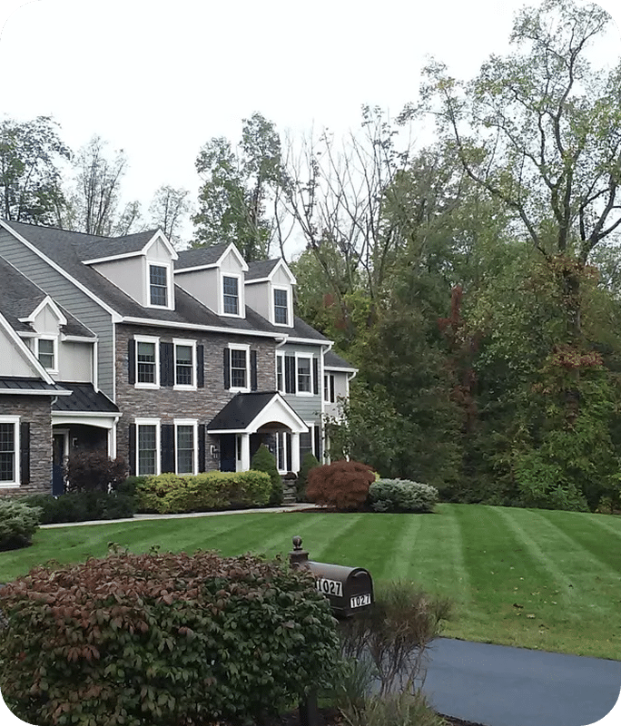 Lawn
