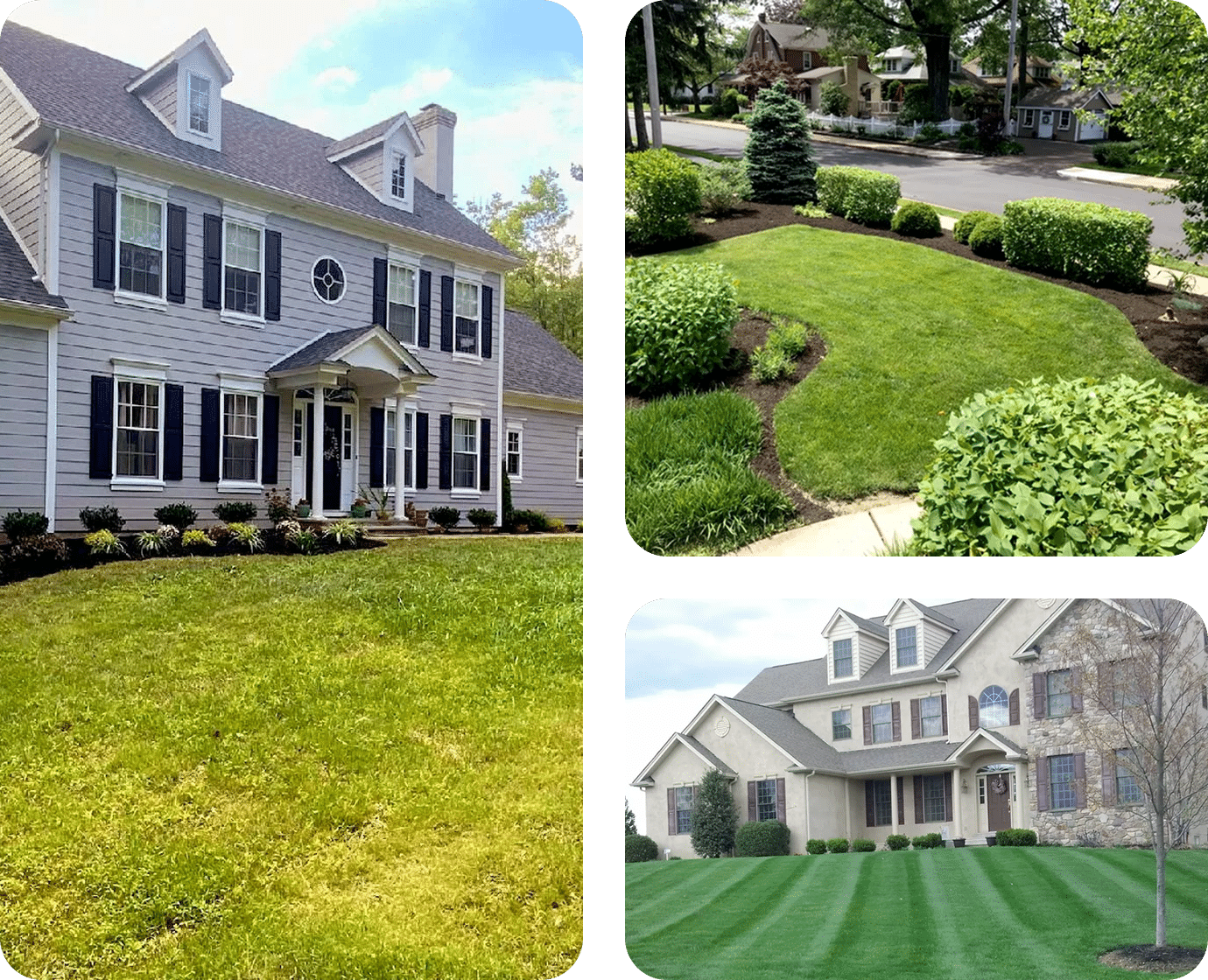 What Landscape Design with Falco Looks Like