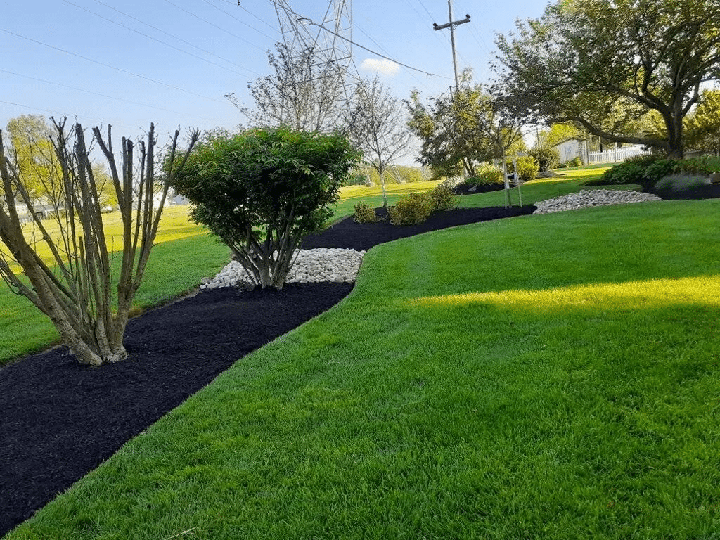Commercial and HOA Services