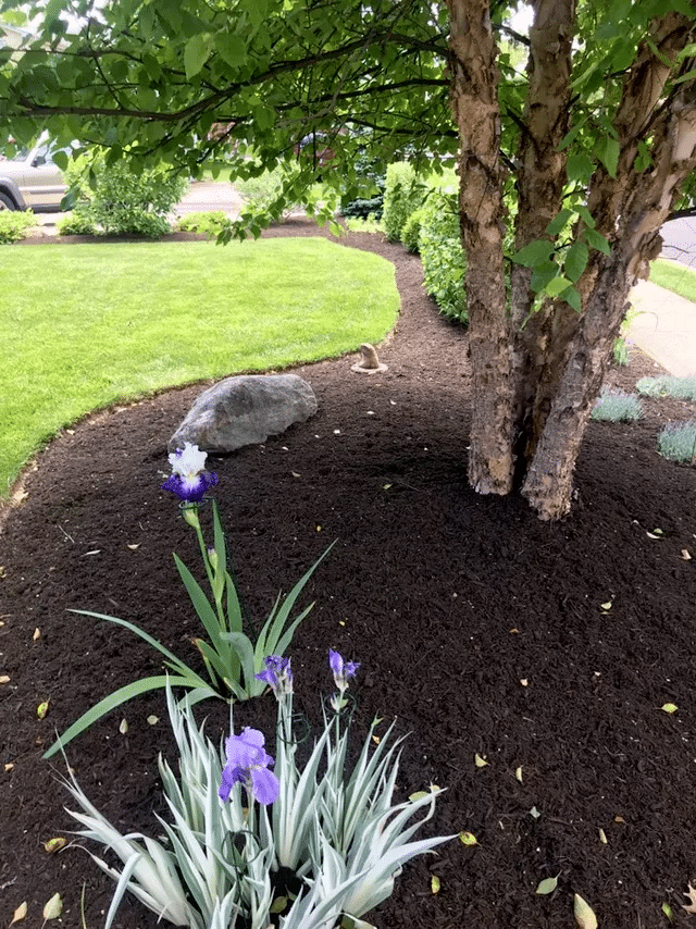 Mulch Installation