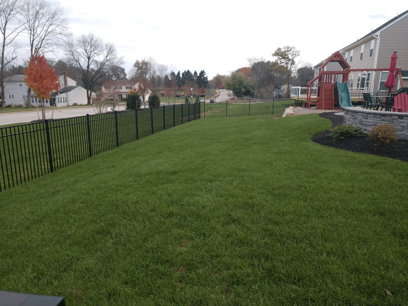 Sod and Turf Installation