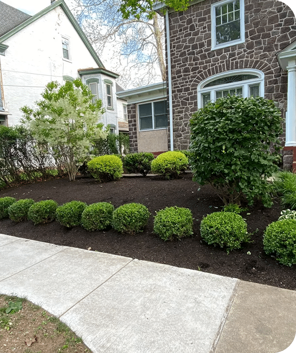 Rachel S.